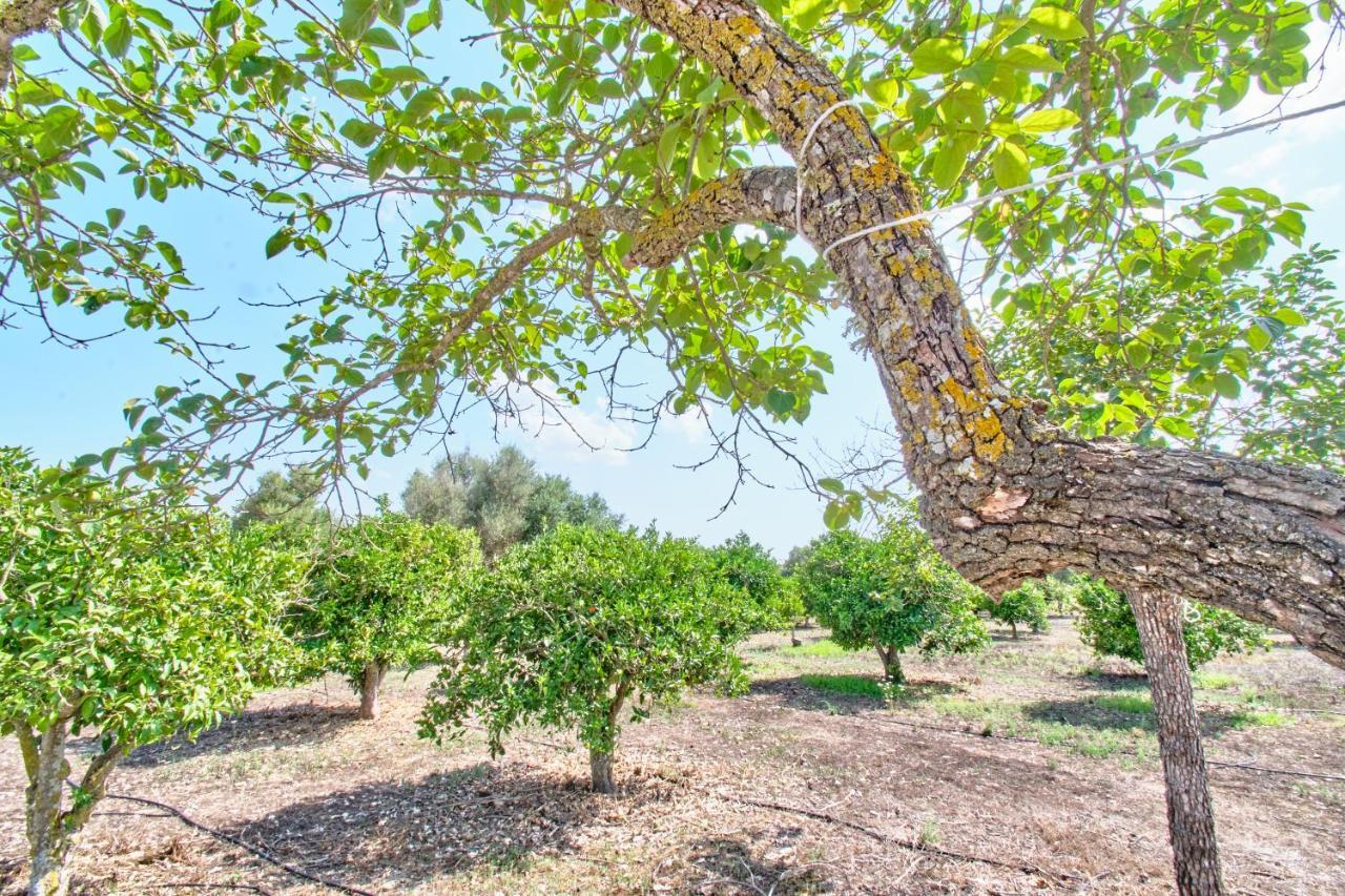 אינקה Villa Son Bennassar מראה חיצוני תמונה